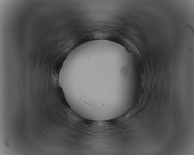 X0000093390329200710111352