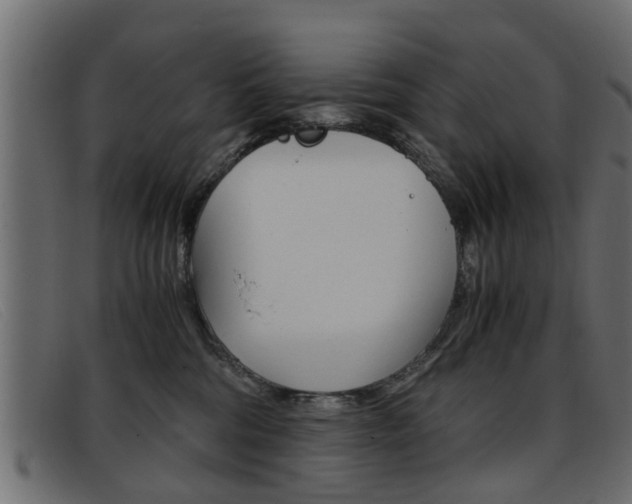 X0000093390330200710111352