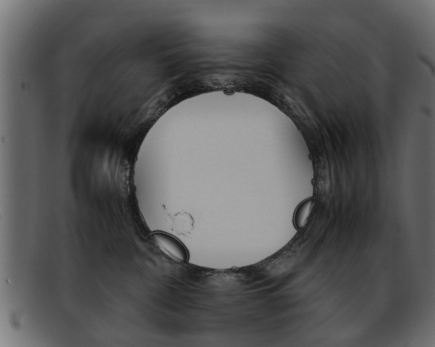 X0000093390332200710111352