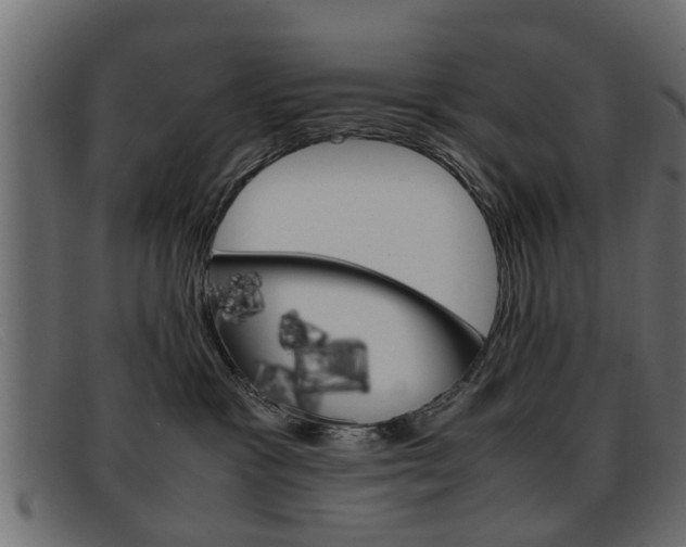 X0000093390333200710111352