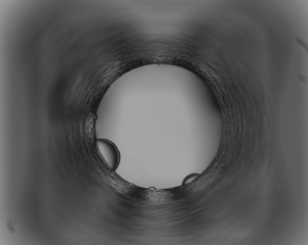 X0000093390336200710111352