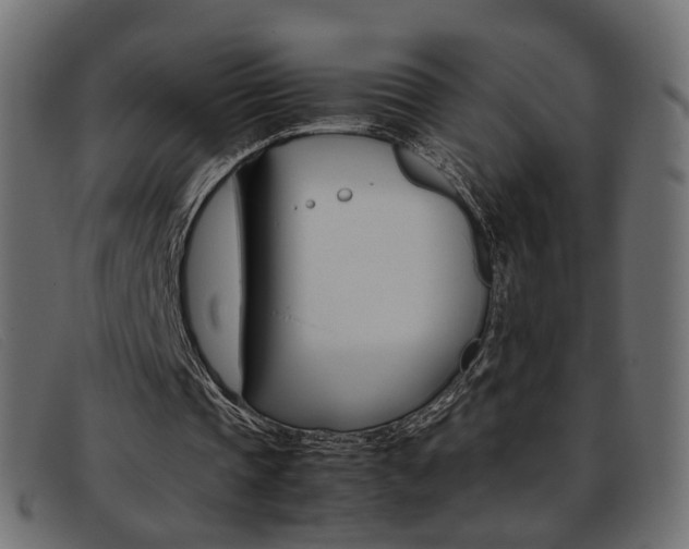 X0000093390337200710111352