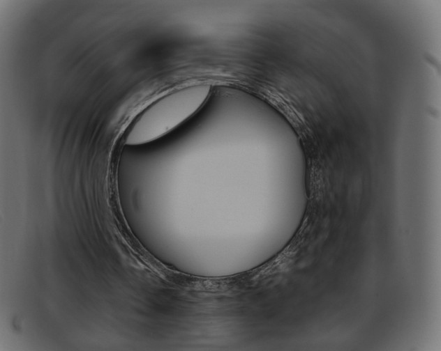 X0000093390338200710111352
