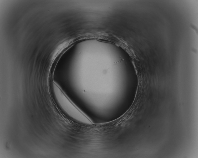 X0000093390340200710111352