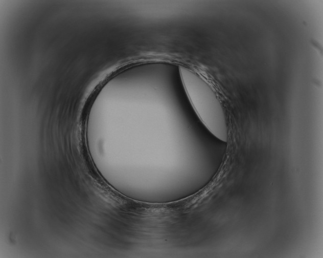 X0000093390342200710111352