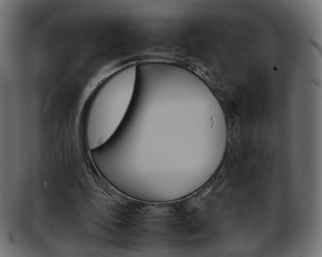 X0000093390343200710111352