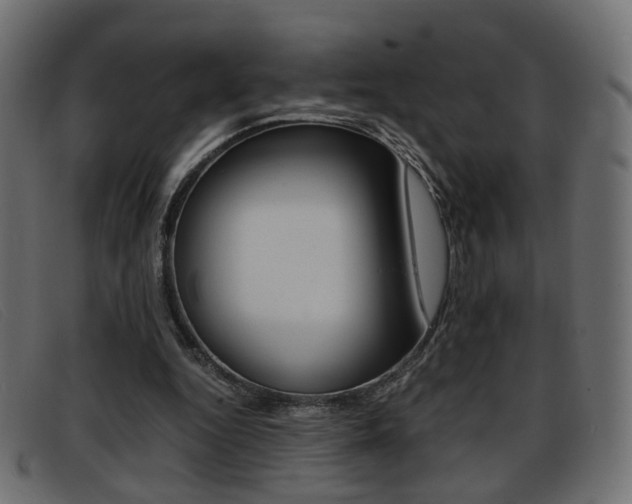 X0000093390344200710111352
