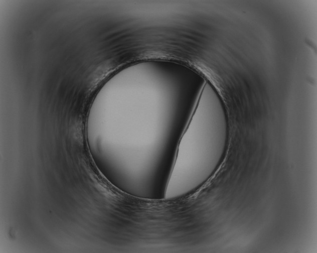 X0000093390345200710111352