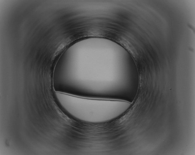 X0000093390349200710111352