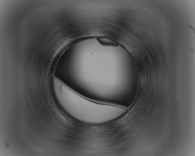 X0000093390350200710111352