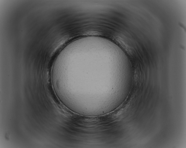 X0000093390351200710111352