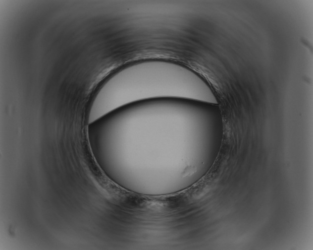 X0000093390352200710111352