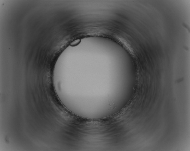 X0000093390354200710111352