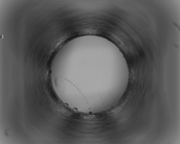 X0000093390355200710111352