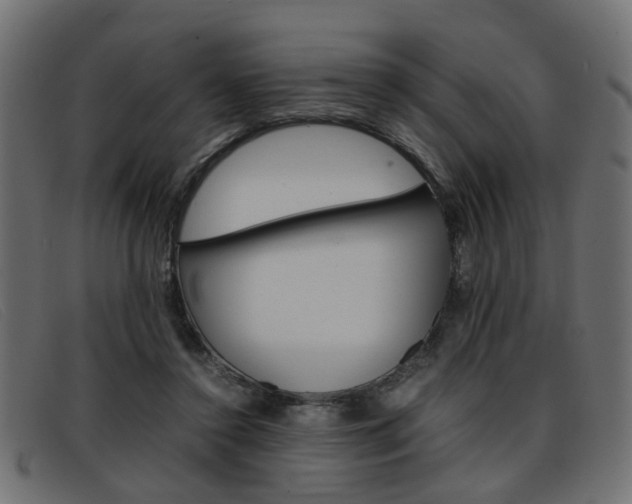 X0000093390356200710111352