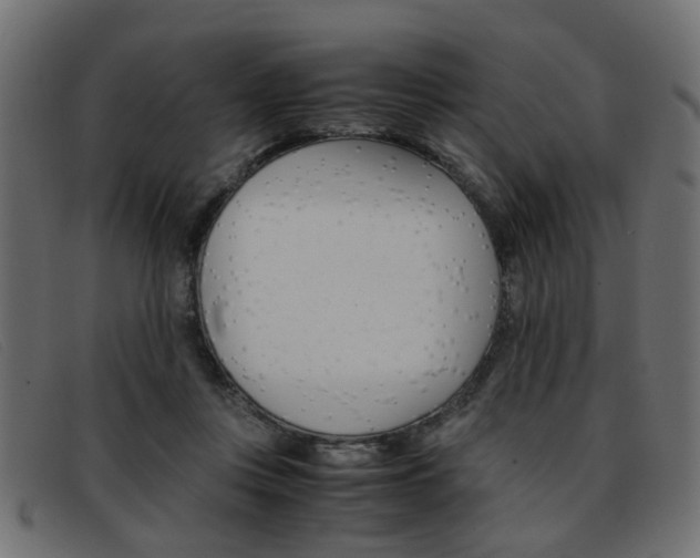 X0000093390359200710111352