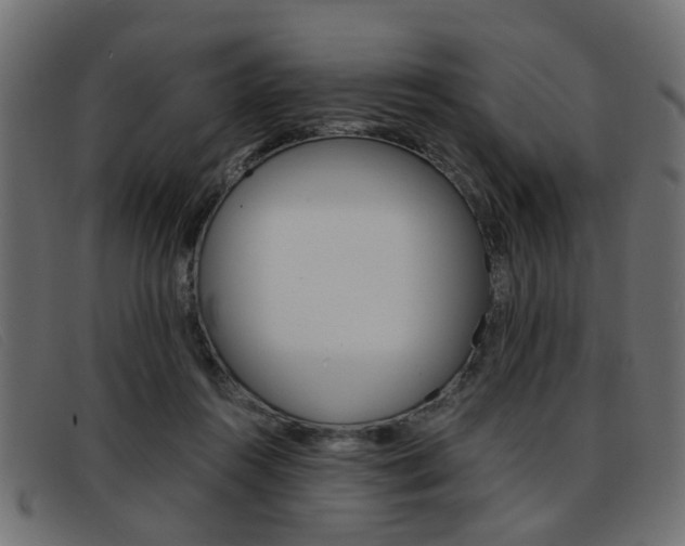 X0000093390360200710111352