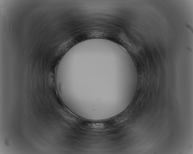 X0000093390361200710111352
