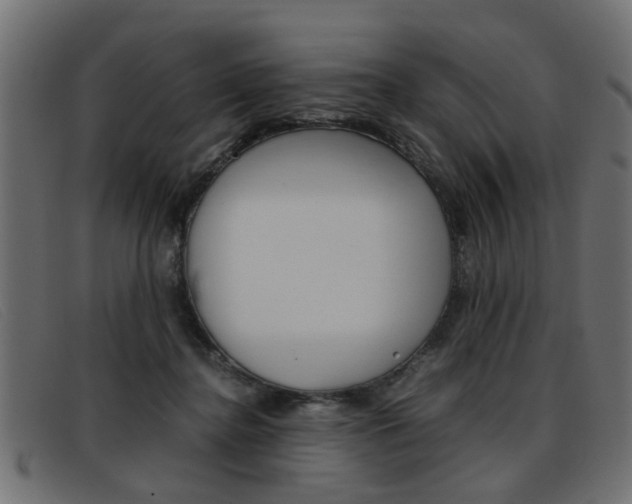 X0000093390364200710111352