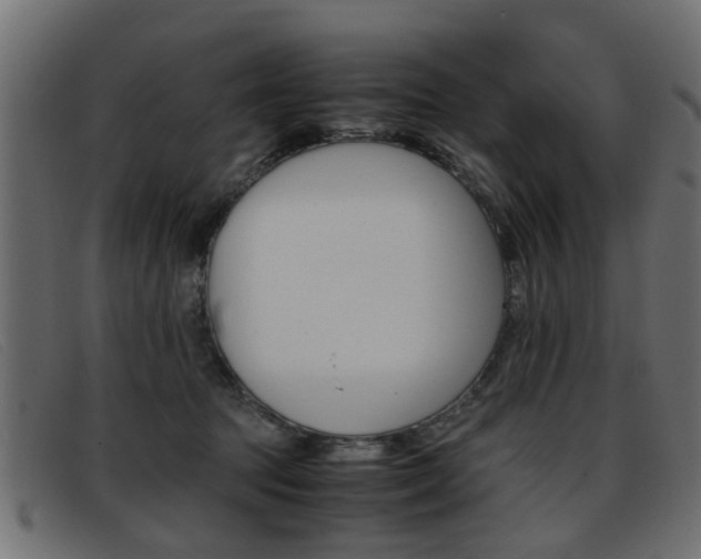 X0000093390369200710111352