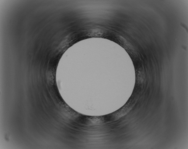 X0000093390370200710111352