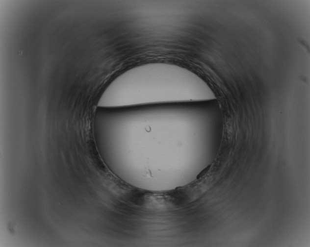 X0000093390372200710111352