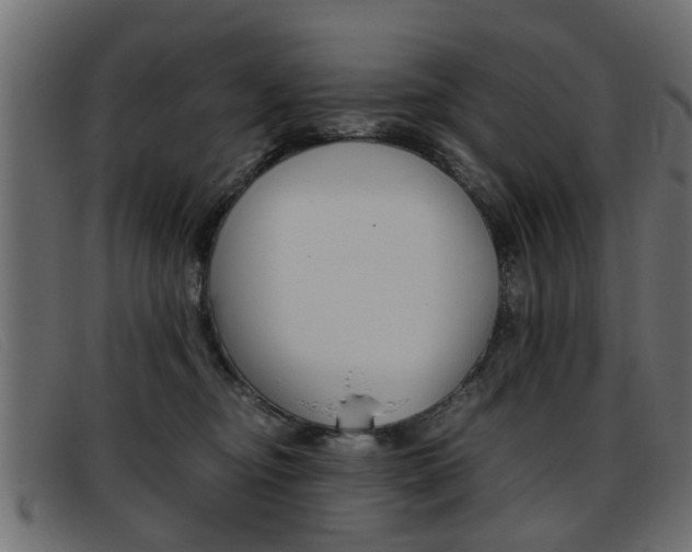 X0000093390374200710111352