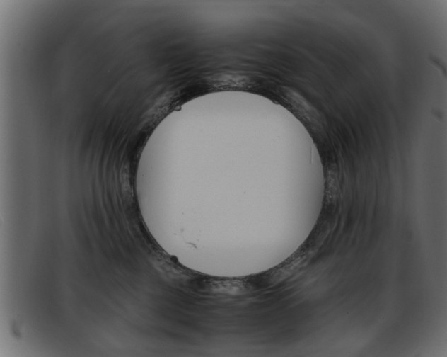X0000093390377200710111352