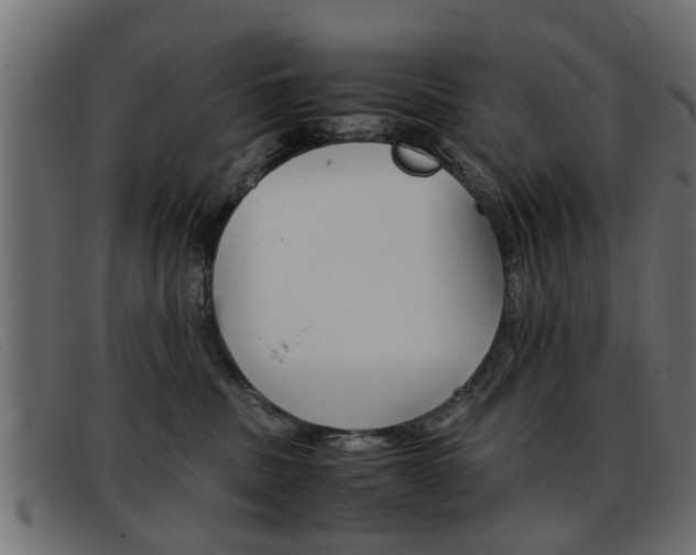 X0000093390379200710111352