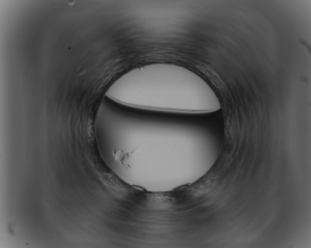 X0000093390380200710111352