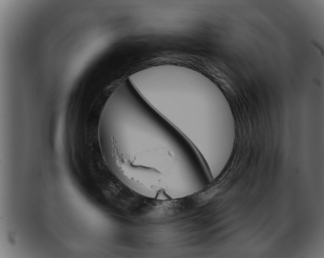X0000093390382200710111352