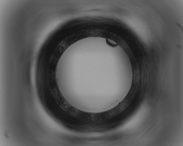 X0000093390383200710111352