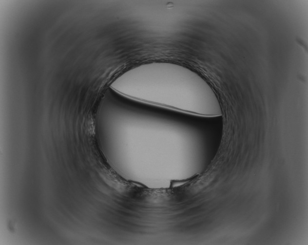 X0000093390384200710111352