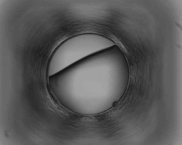 X0000093390386200710111351