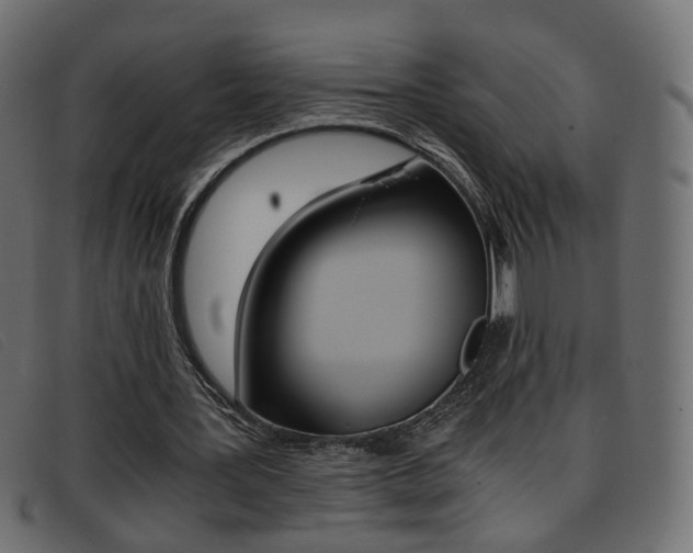 X0000093390387200710111351
