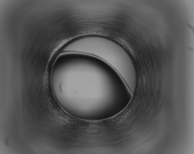 X0000093390388200710111351