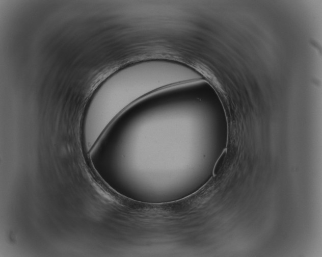 X0000093390389200710111351