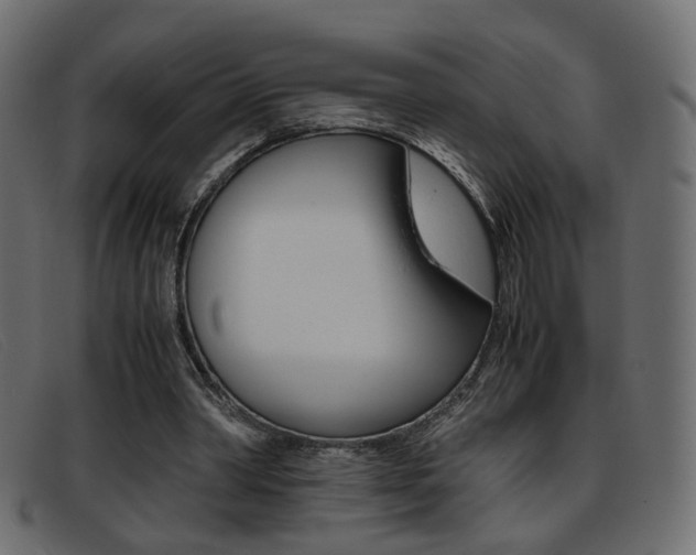 X0000093390390200710111351