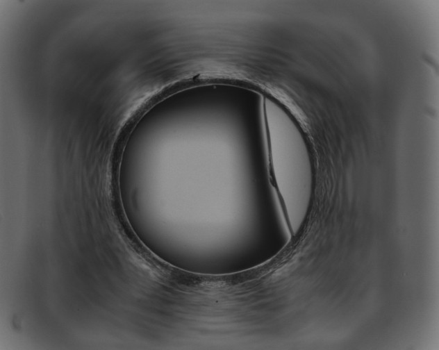 X0000093390391200710111351