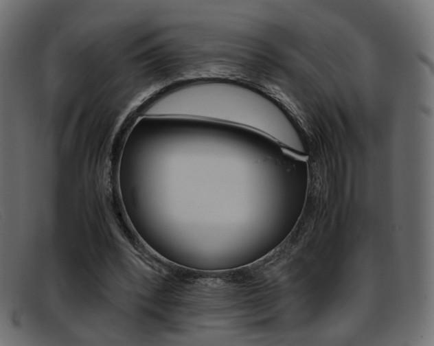 X0000093390392200710111351