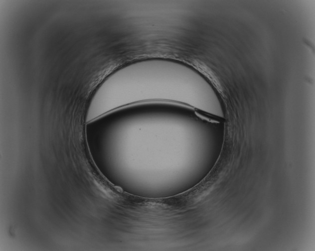 X0000093390393200710111351