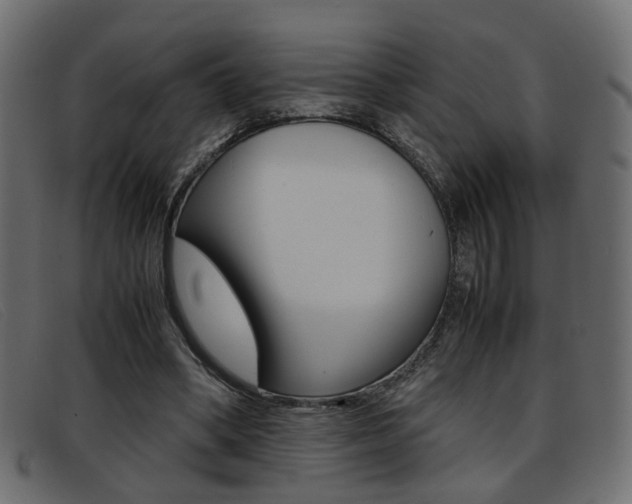 X0000093390394200710111351