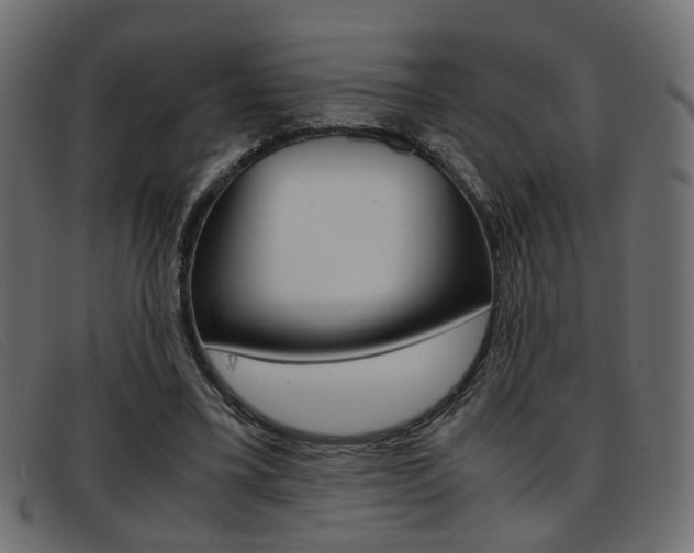 X0000093390395200710111351