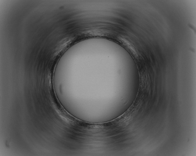 X0000093390398200710111351