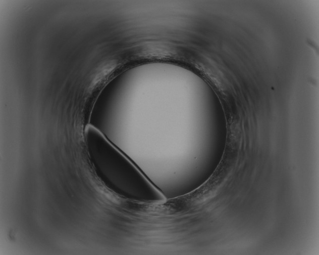 X0000093390399200710111351