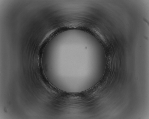 X0000093390400200710111351