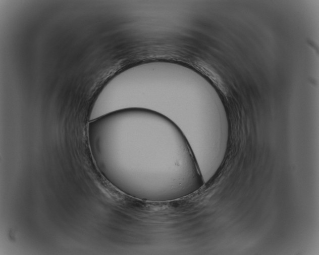 X0000093390401200710111351