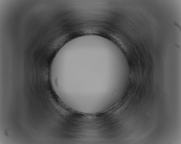X0000093390402200710111351