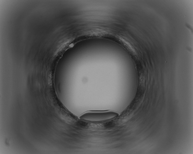 X0000093390403200710111351