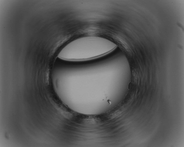 X0000093390404200710111351